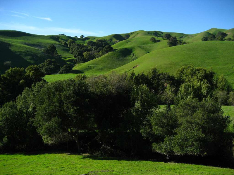 A clear blue sky falls on the bright green hills of the Briones Regional Park in Lafayette, California. The scene looks relaxing and peaceful...just like YOU'RE going to feel after a session with us. :)